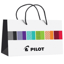Pilot Animal Collection Luxury Pen, 1.00 mm, Leopard Purple in box.