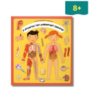 The Atlas of the Human Body