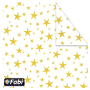 Χαρτόνι Χειροτεχνίας Διπλής Όψης "Λευκά Αστέρια" 50x70εκ. - FabiCraft