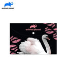 Φάκελος Με Κουμπί Πλαστικός Α4, 33Χ23 "Κύκνος" - Animal Planet Φάκελος Psalidixarti.gr