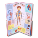 The Atlas of the Human Body