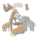 Dotz Box "Dotz at the Zoo" Mosaic Frame 28x28 - Diamond Dotz