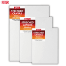 Τελάρο Καμβάς Ζωγραφικής 30x40cm - +Efo