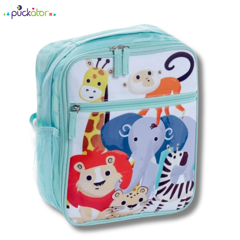 Food Container School Tupper BPA FREE Dinosaurs
