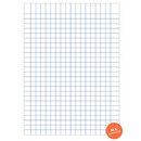 School Notebook 17x25 Blue 20/30/40/50/60/80/100 Sheets