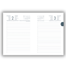 Calendar 2022 flexi Daily 12 month 12x17 - Next 