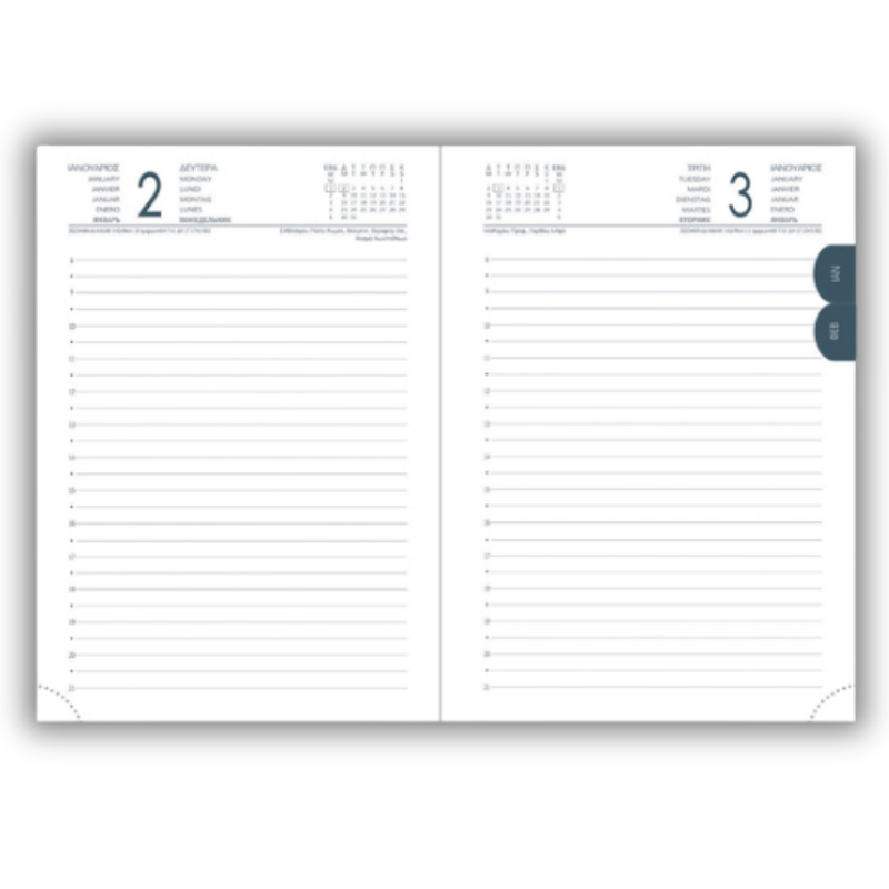 Calendar 2022 flexi Daily 12 month 12x17 - Next 