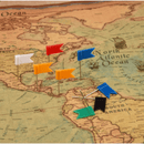 Colored Pins 70 Pcs.