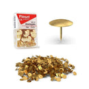 Πινέζες σε Χρυσό Χρώμα 70 Τεμ. Πινέζα Psalidixarti.gr