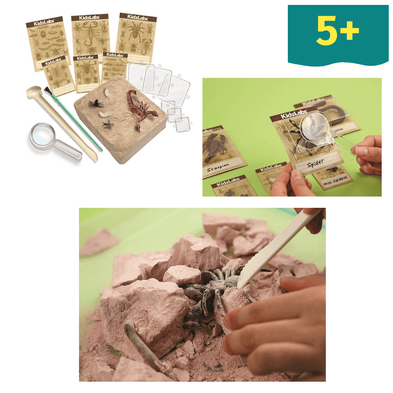 Learn &amp; Create Lab T-REX, Triceratops Dinosaurs