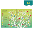 Soccer Atlas - Traveling around the world on the grass of the pitches