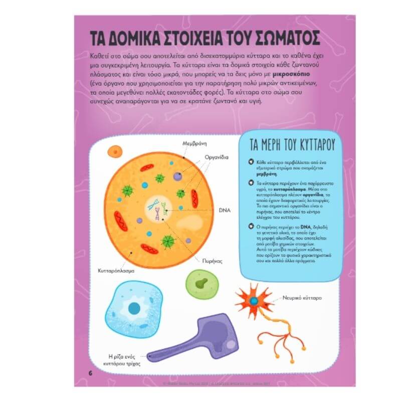 Μαθαίνω για το Ανθρώπινο Σώμα με Αυτοκόλλητα που Φωσφορίζουν Βιβλίο διαδραστικό Psalidixarti.gr