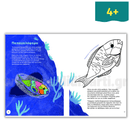 Τα Ζώα είναι πολύ κουλ άτομα Τα Ζώα είναι πολύ κουλ άτομα Psalidixarti.gr